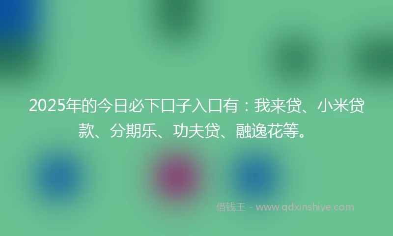 2025年的今日必下口子入口有：我来贷、小米贷款、分期乐、功夫贷、融逸花等。
