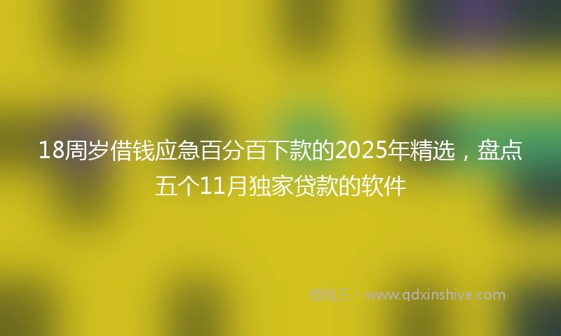 18周岁借钱应急百分百下款的2025年精选，盘点五个11月独家贷款的软件