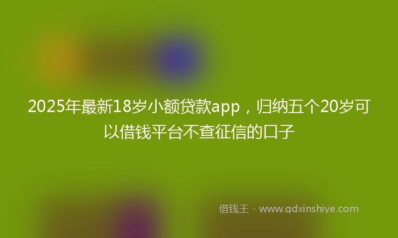 2025年最新18岁小额贷款app，归纳五个20岁可以借钱平台不查征信的口子