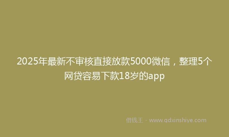 2025年最新不审核直接放款5000微信，整理5个网贷容易下款18岁的app
