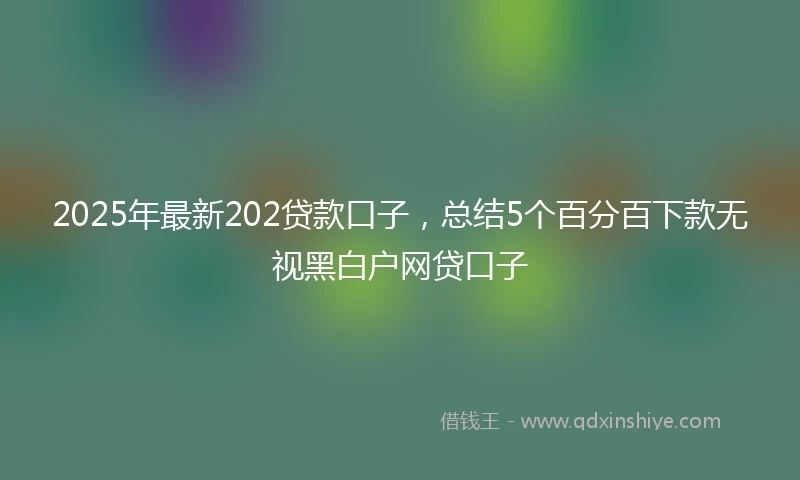 2025年最新202贷款口子，总结5个百分百下款无视黑白户网贷口子