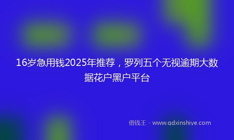 16岁急用钱2025年推荐，罗列五个无视逾期大数据花户黑户平台