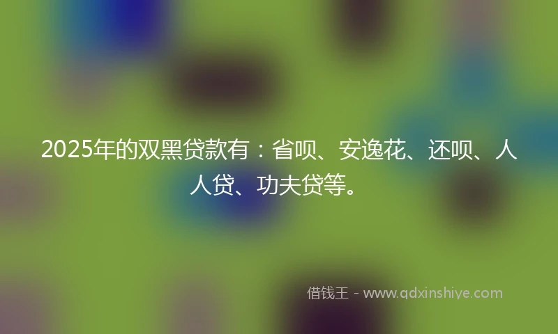 2025年的双黑贷款有：省呗、安逸花、还呗、人人贷、功夫贷等。