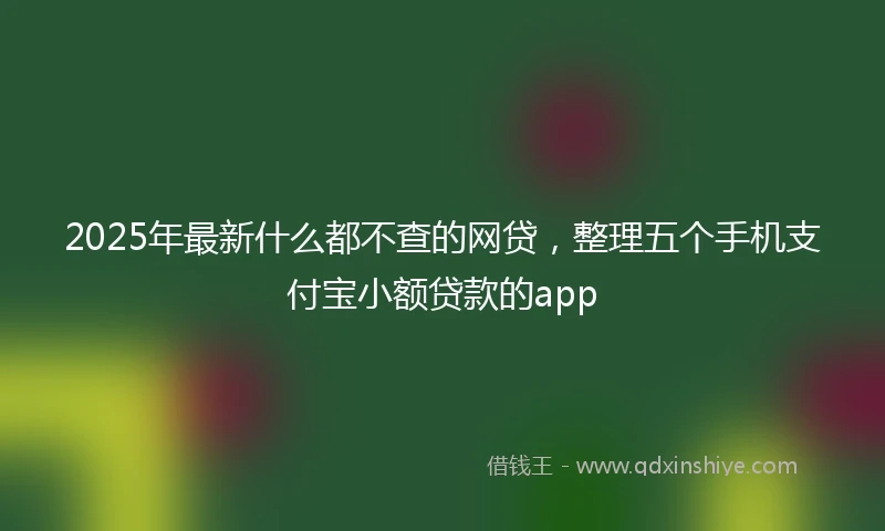 2025年最新什么都不查的网贷，整理五个手机支付宝小额贷款的app