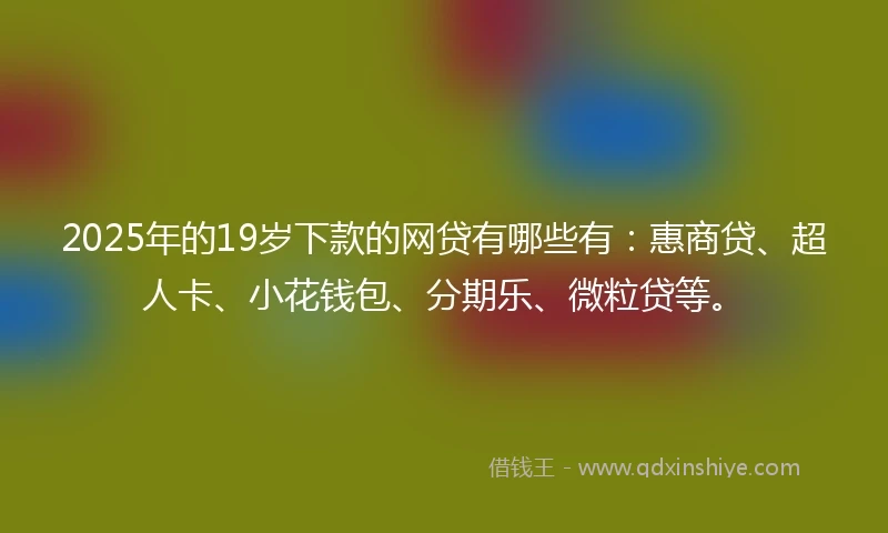 2025年的19岁下款的网贷有哪些有：惠商贷、超人卡、小花钱包、分期乐、微粒贷等。