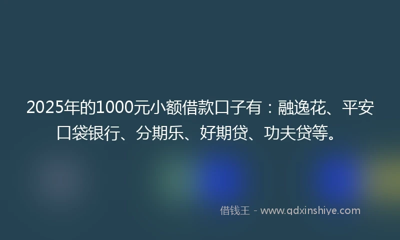 2025年的1000元小额借款口子有：融逸花、平安口袋银行、分期乐、好期贷、功夫贷等。