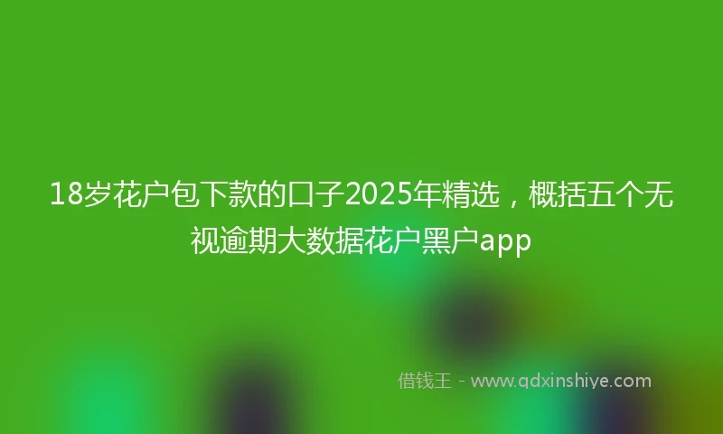 18岁花户包下款的口子2025年精选，概括五个无视逾期大数据花户黑户app