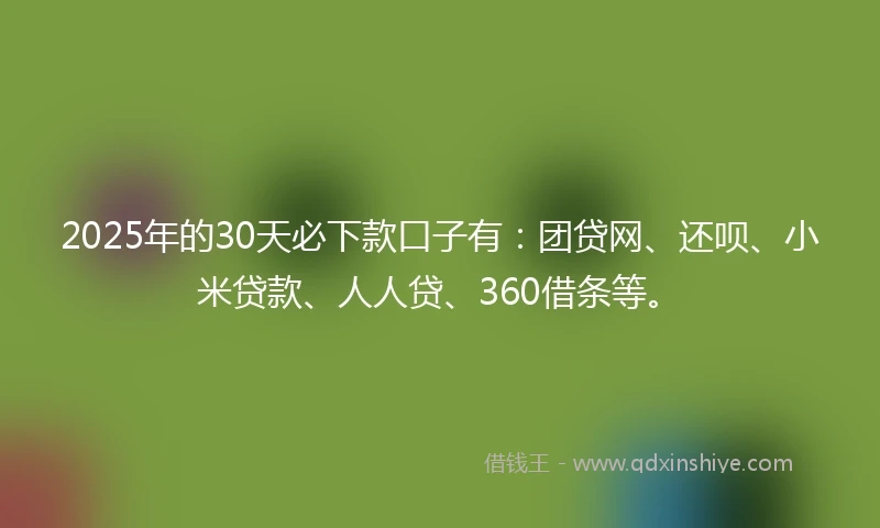 2025年的30天必下款口子有：团贷网、还呗、小米贷款、人人贷、360借条等。