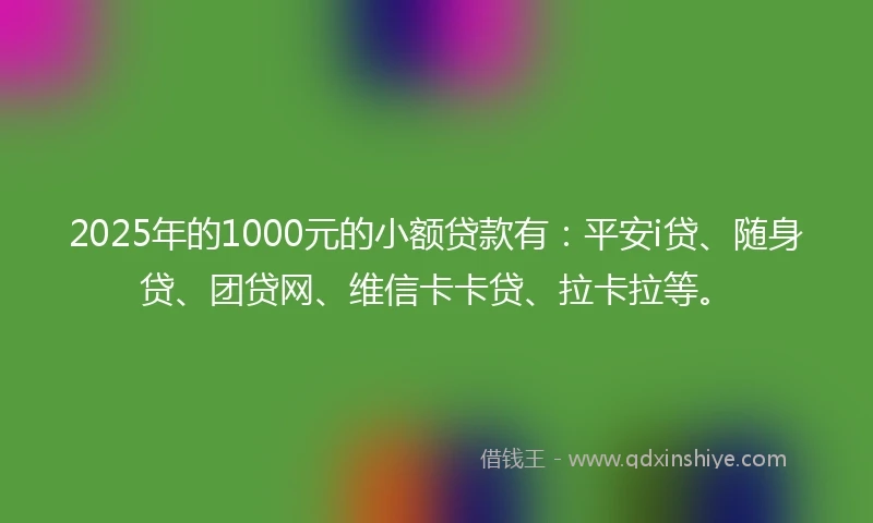 2025年的1000元的小额贷款有：平安i贷、随身贷、团贷网、维信卡卡贷、拉卡拉等。