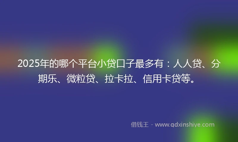 2025年的哪个平台小贷口子最多有：人人贷、分期乐、微粒贷、拉卡拉、信用卡贷等。