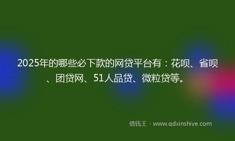 2025年的哪些必下款的网贷平台有：花呗、省呗、团贷网、51人品贷、微粒贷等。