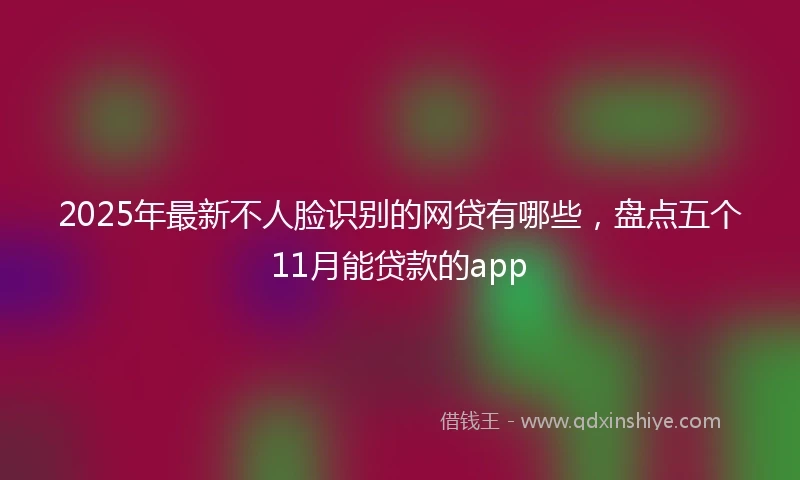 2025年最新不人脸识别的网贷有哪些，盘点五个11月能贷款的app
