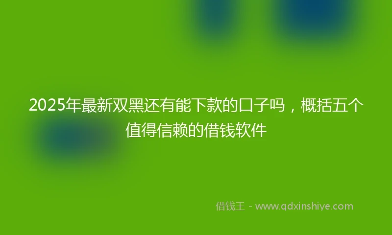 2025年最新双黑还有能下款的口子吗，概括五个值得信赖的借钱软件
