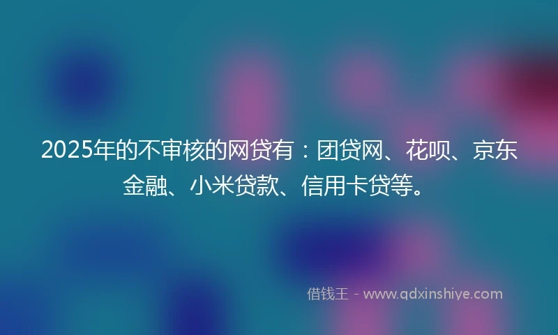 2025年的不审核的网贷有：团贷网、花呗、京东金融、小米贷款、信用卡贷等。