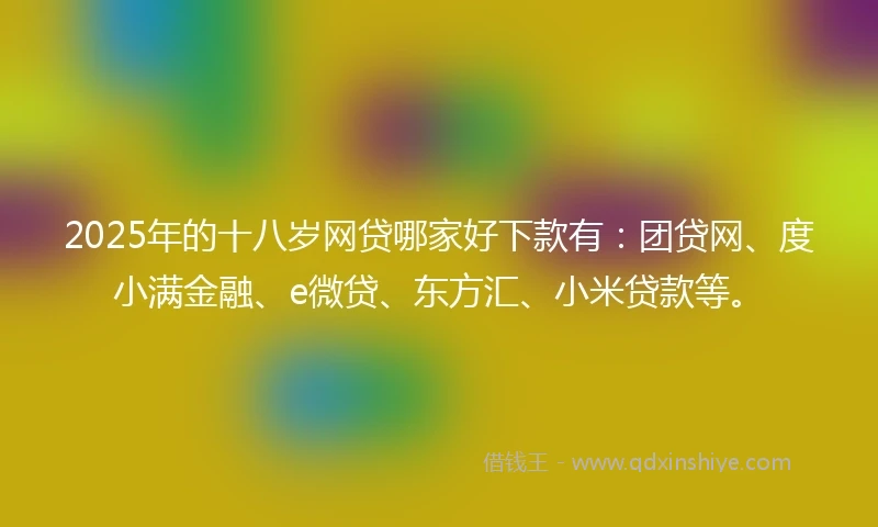 2025年的十八岁网贷哪家好下款有：团贷网、度小满金融、e微贷、东方汇、小米贷款等。