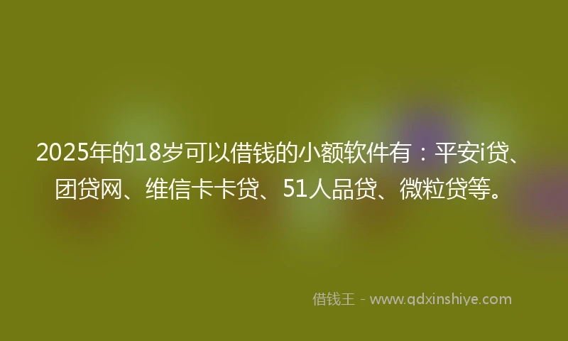 2025年的18岁可以借钱的小额软件有：平安i贷、团贷网、维信卡卡贷、51人品贷、微粒贷等。