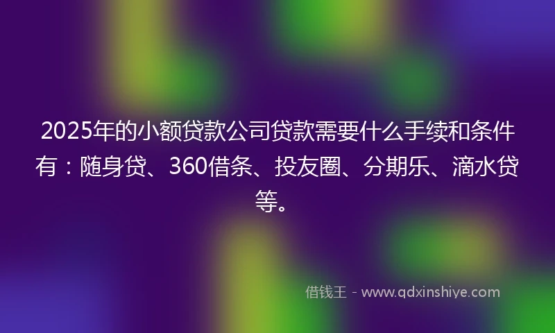 2025年的小额贷款公司贷款需要什么手续和条件有：随身贷、360借条、投友圈、分期乐、滴水贷等。