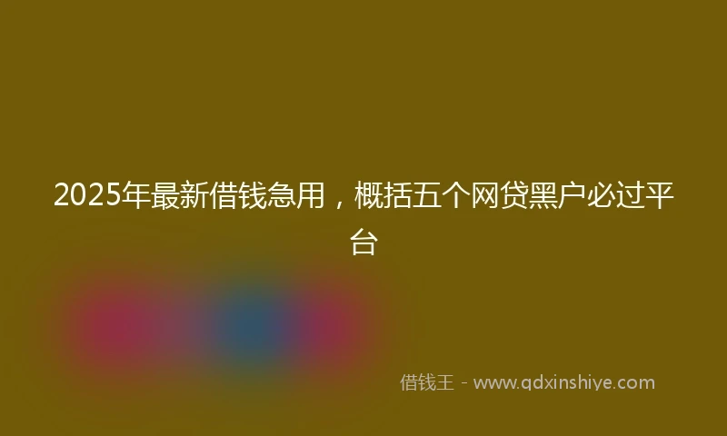 2025年最新借钱急用，概括五个网贷黑户必过平台