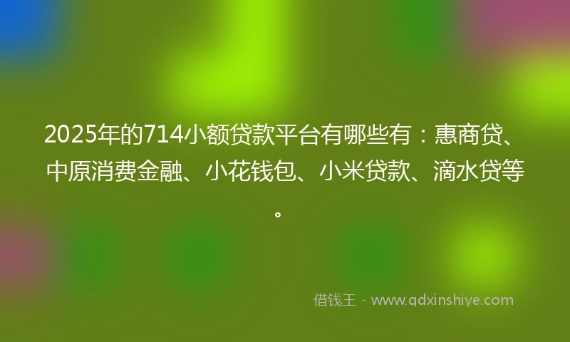 2025年的714小额贷款平台有哪些有：惠商贷、中原消费金融、小花钱包、小米贷款、滴水贷等。