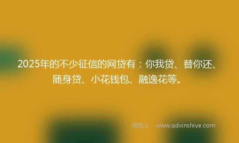 2025年的不少征信的网贷有：你我贷、替你还、随身贷、小花钱包、融逸花等。