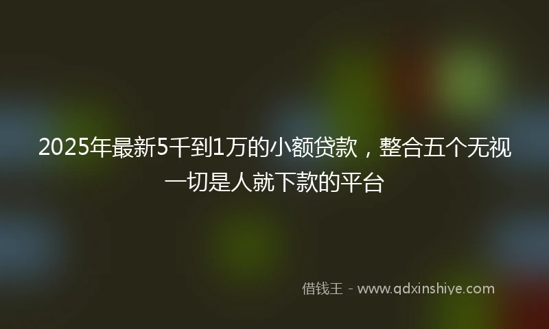 2025年最新5千到1万的小额贷款，整合五个无视一切是人就下款的平台