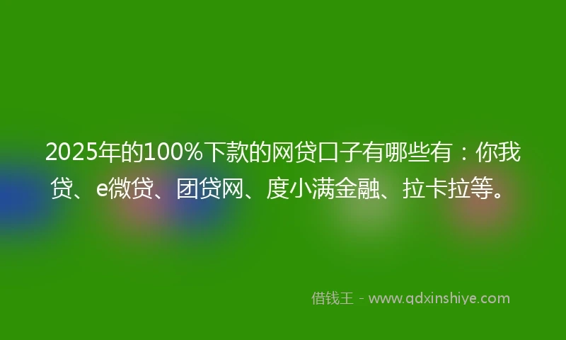 2025年的100%下款的网贷口子有哪些有：你我贷、e微贷、团贷网、度小满金融、拉卡拉等。