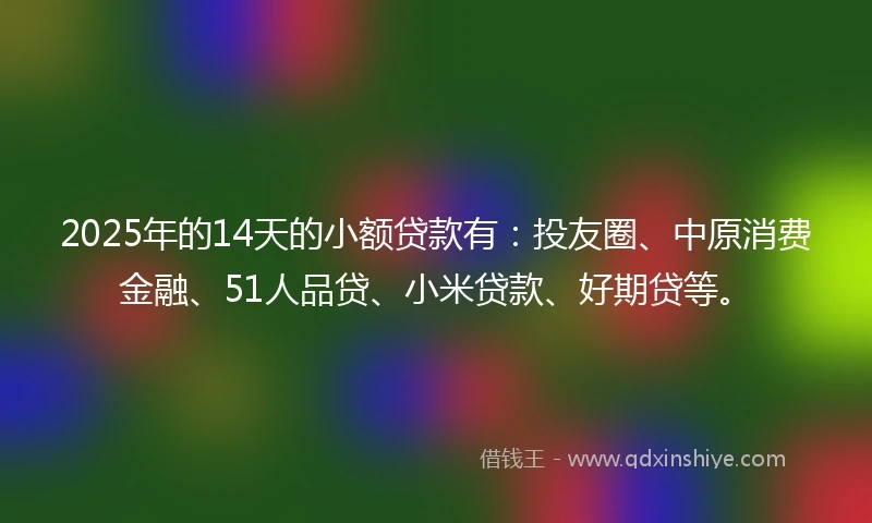 2025年的14天的小额贷款有：投友圈、中原消费金融、51人品贷、小米贷款、好期贷等。