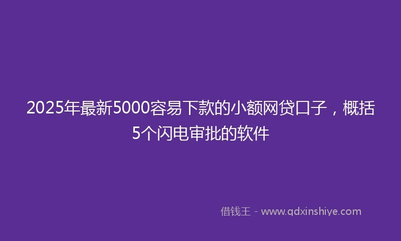 2025年最新5000容易下款的小额网贷口子，概括5个闪电审批的软件