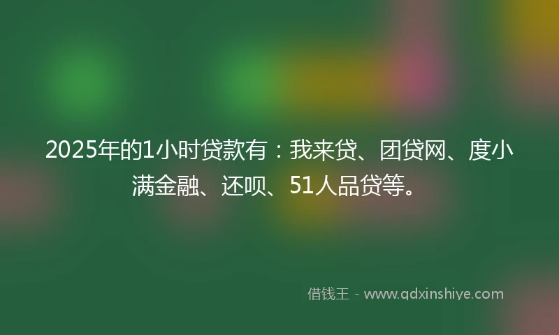 2025年的1小时贷款有：我来贷、团贷网、度小满金融、还呗、51人品贷等。