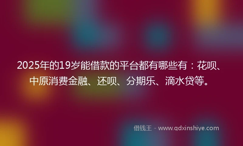 2025年的19岁能借款的平台都有哪些有：花呗、中原消费金融、还呗、分期乐、滴水贷等。