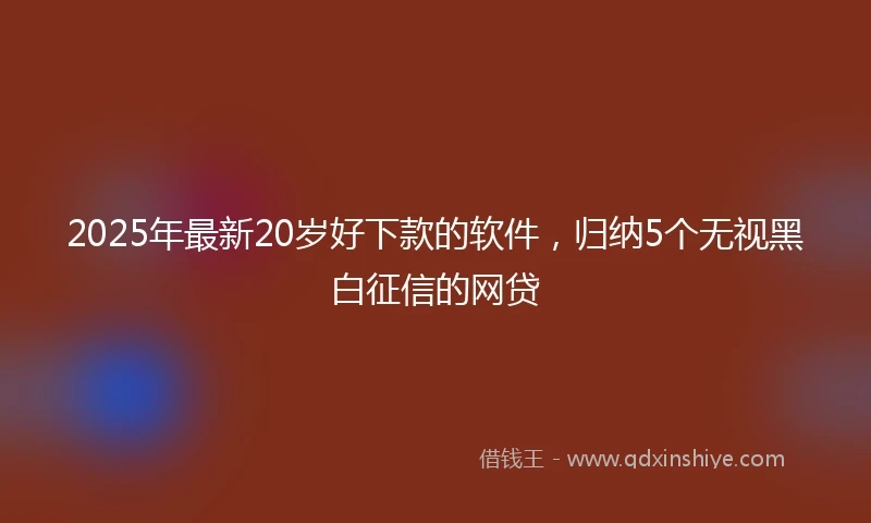 2025年最新20岁好下款的软件，归纳5个无视黑白征信的网贷