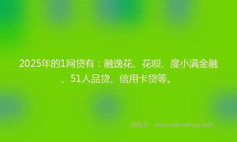 2025年的1网贷有：融逸花、花呗、度小满金融、51人品贷、信用卡贷等。