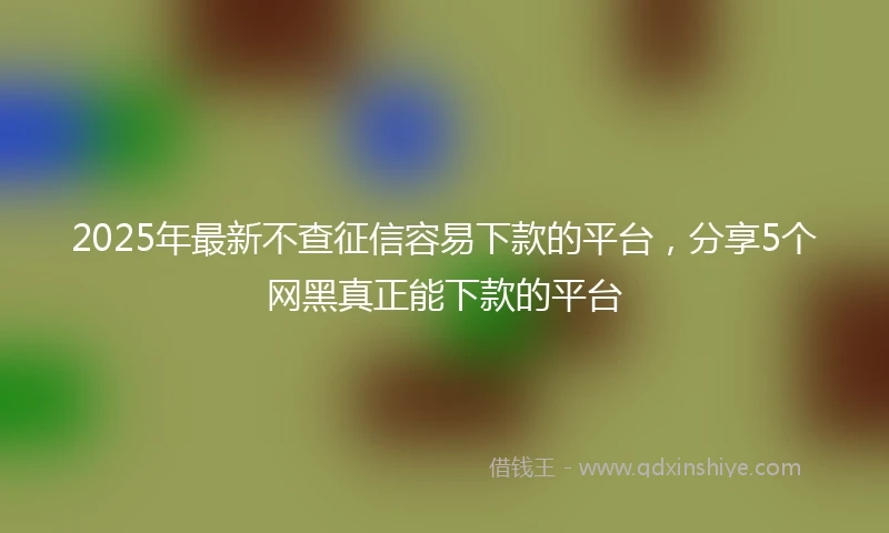 2025年最新不查征信容易下款的平台，分享5个网黑真正能下款的平台
