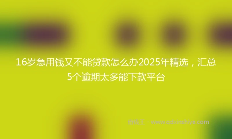 16岁急用钱又不能贷款怎么办2025年精选，汇总5个逾期太多能下款平台