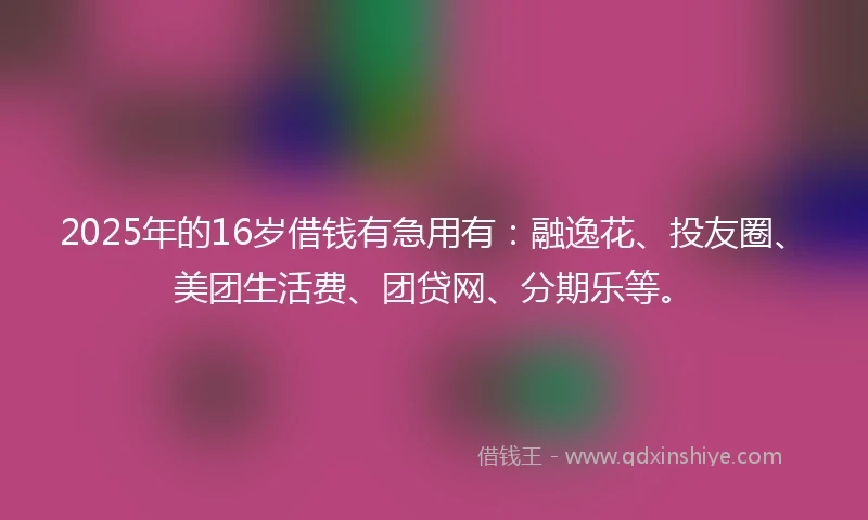 2025年的16岁借钱有急用有：融逸花、投友圈、美团生活费、团贷网、分期乐等。