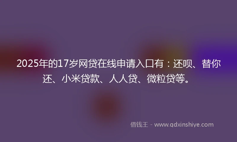 2025年的17岁网贷在线申请入口有：还呗、替你还、小米贷款、人人贷、微粒贷等。