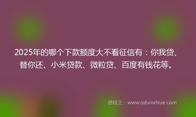 2025年的哪个下款额度大不看征信有：你我贷、替你还、小米贷款、微粒贷、百度有钱花等。