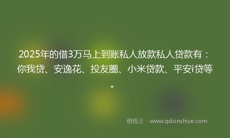 2025年的借3万马上到账私人放款私人贷款有：你我贷、安逸花、投友圈、小米贷款、平安i贷等。