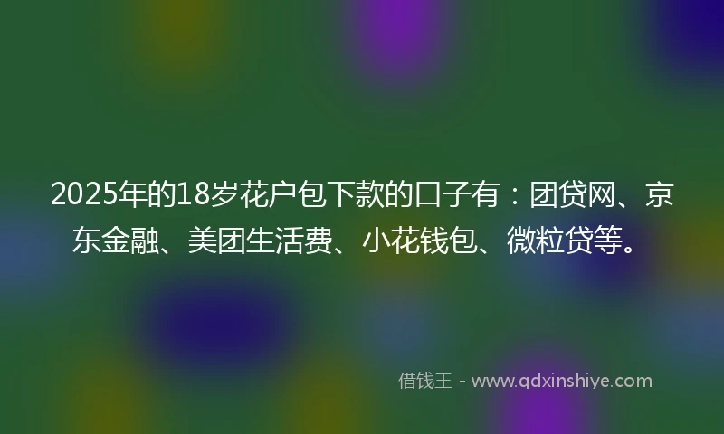 2025年的18岁花户包下款的口子有：团贷网、京东金融、美团生活费、小花钱包、微粒贷等。