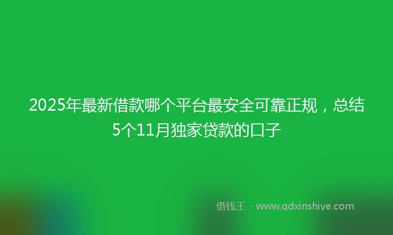 2025年最新借款哪个平台最安全可靠正规，总结5个11月独家贷款的口子
