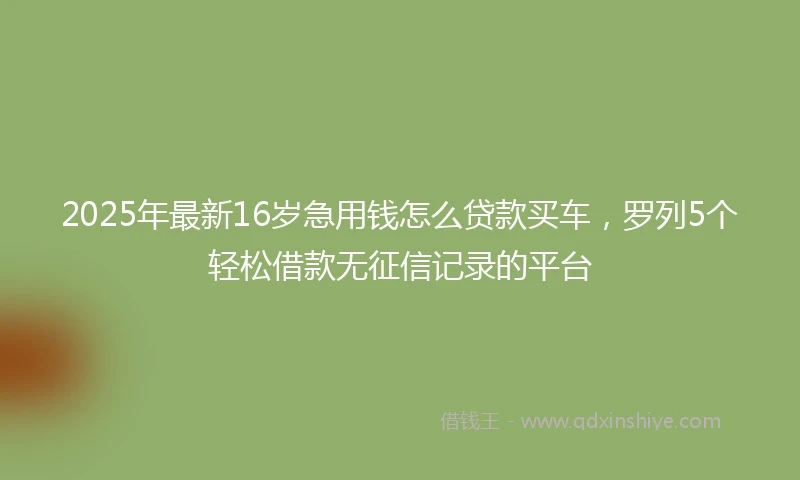 2025年最新16岁急用钱怎么贷款买车，罗列5个轻松借款无征信记录的平台