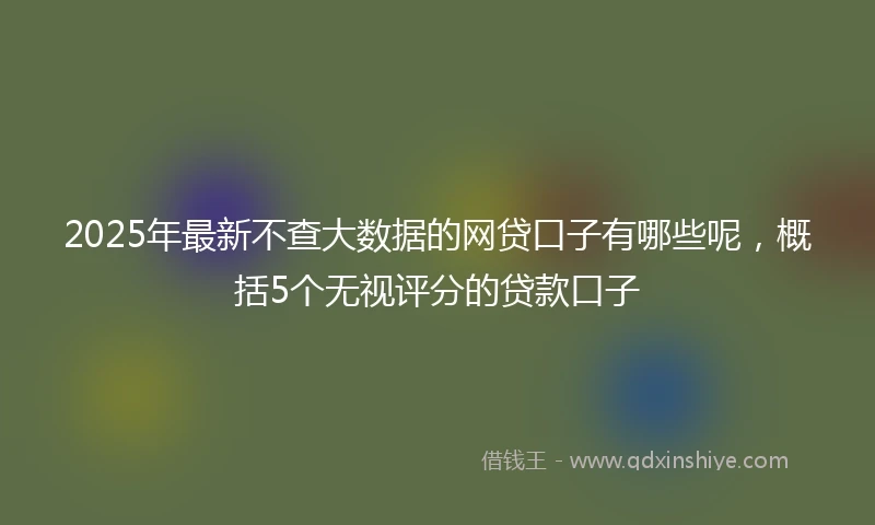 2025年最新不查大数据的网贷口子有哪些呢，概括5个无视评分的贷款口子