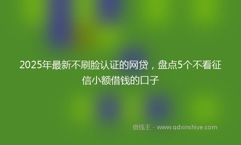 2025年最新不刷脸认证的网贷，盘点5个不看征信小额借钱的口子