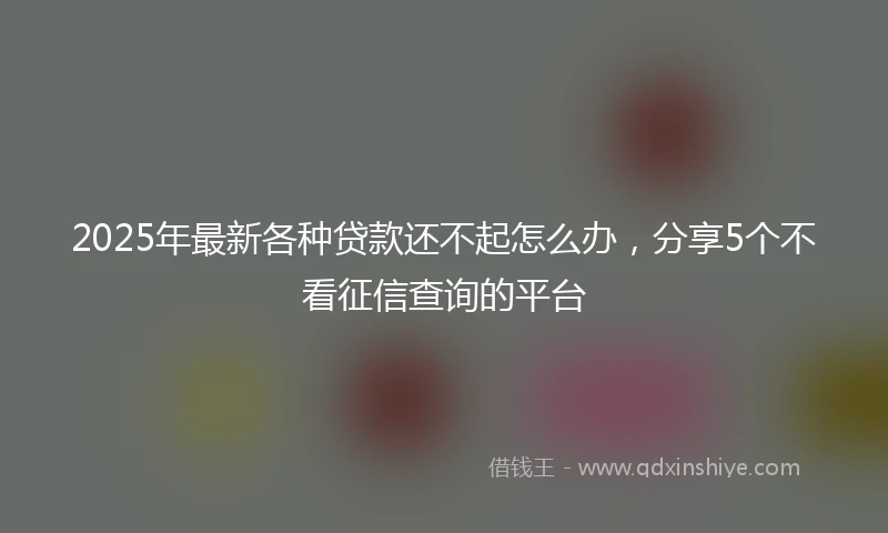 2025年最新各种贷款还不起怎么办，分享5个不看征信查询的平台