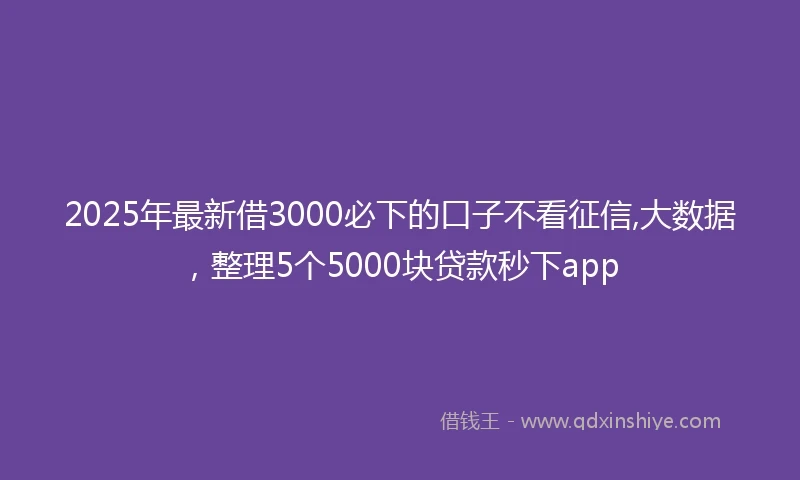 2025年最新借3000必下的口子不看征信,大数据，整理5个5000块贷款秒下app