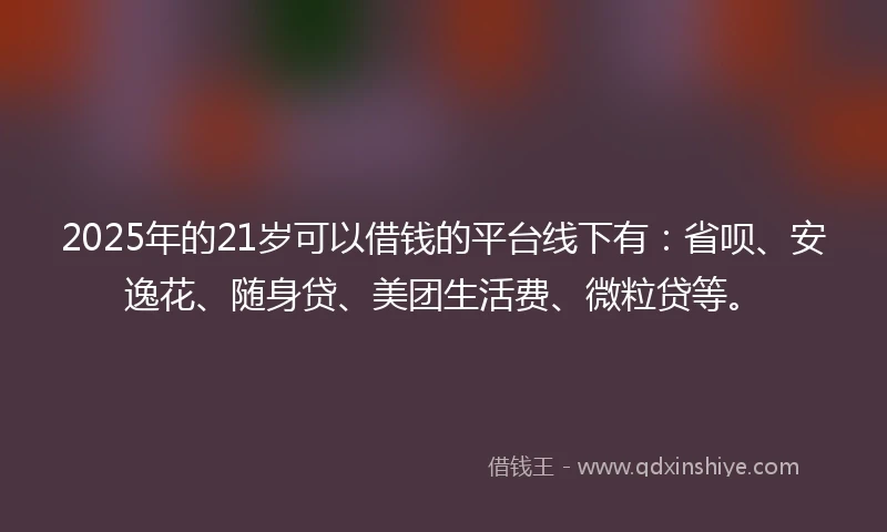 2025年的21岁可以借钱的平台线下有：省呗、安逸花、随身贷、美团生活费、微粒贷等。