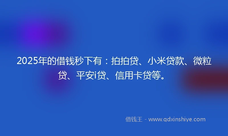 2025年的借钱秒下有：拍拍贷、小米贷款、微粒贷、平安i贷、信用卡贷等。