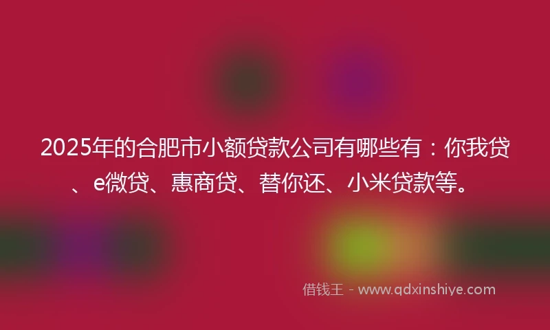 2025年的合肥市小额贷款公司有哪些有：你我贷、e微贷、惠商贷、替你还、小米贷款等。