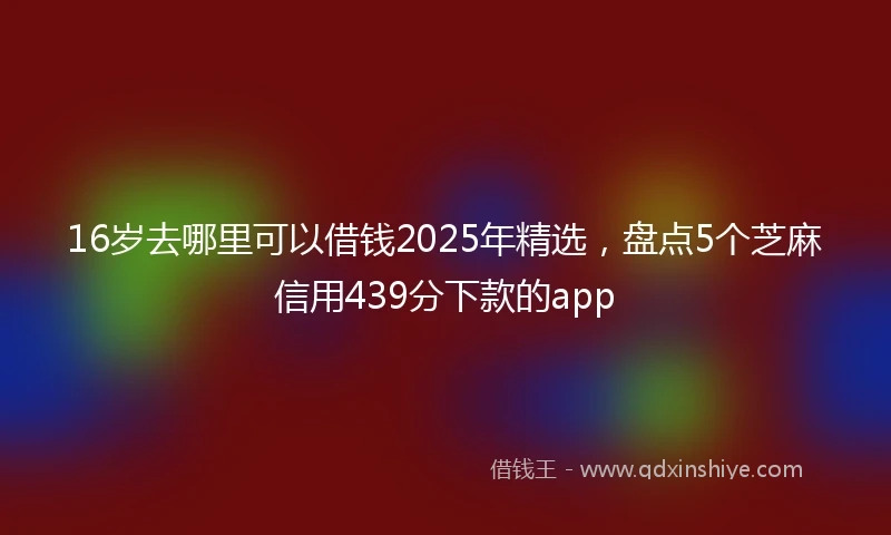 16岁去哪里可以借钱2025年精选，盘点5个芝麻信用439分下款的app
