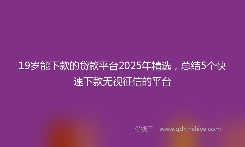 19岁能下款的贷款平台2025年精选，总结5个快速下款无视征信的平台